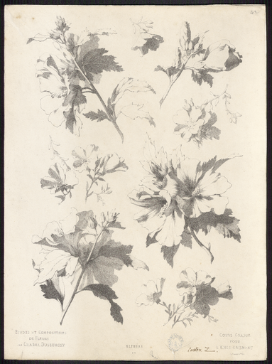 Althéas. N° 3