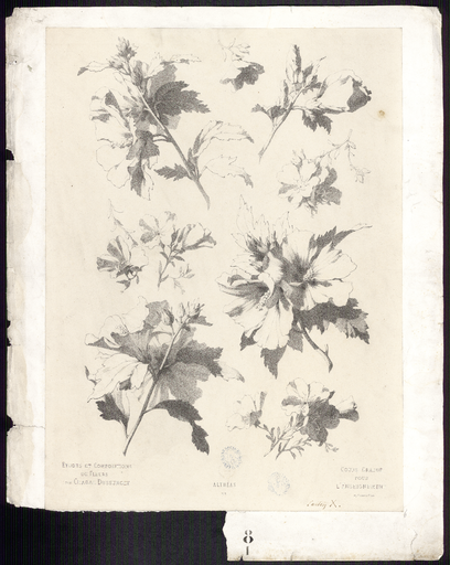 Althéas. N° 3
