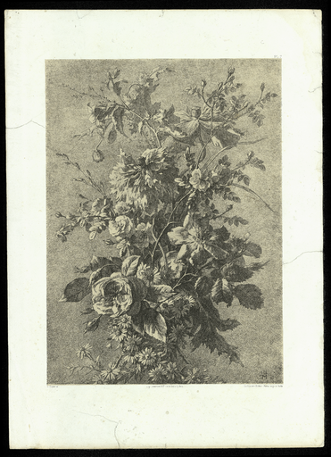 [Pavot, aster et rose]