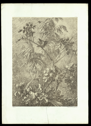 [Aubépine et oiseau]