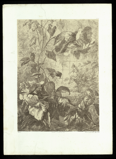 [Camélia et panier fleuris sur un muret dans une serre]