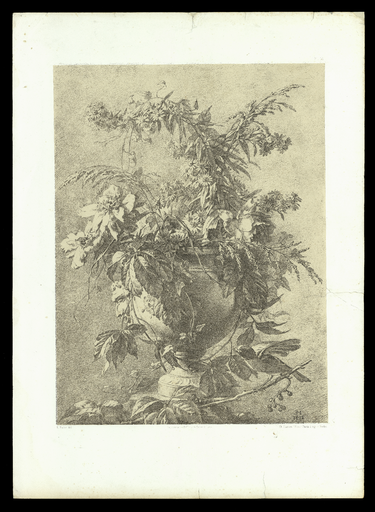[Grand vase à mascaron, aster et oiseau sur vigne vierge]