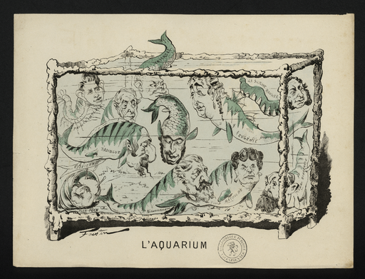 L'aquarium