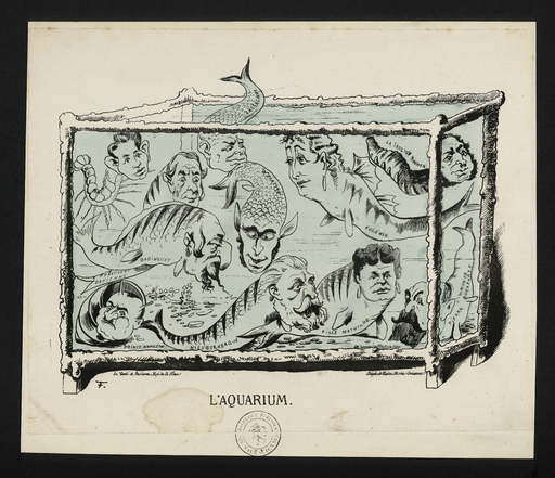 L'aquarium