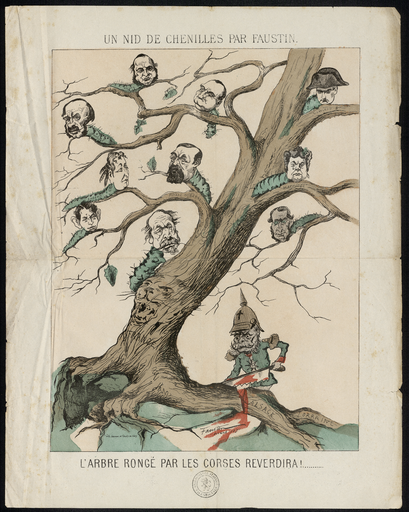 Un nid de chenilles par Faustin. L'arbre rongé par les Corses reverdira !...