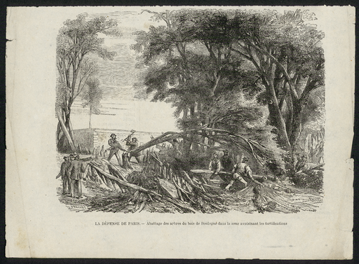 Défense de Paris. Abattage des arbres du bois de Boulogne dans la zone avoisinant les fortifications.