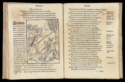 [De la paresse et de la fainéantise]
