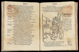 [De la grossièreté]