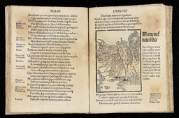 [Des messagers farfelus]